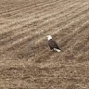 Meet your Posher, Vicki